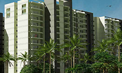 GLS Avenue 51