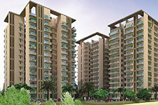 lotus homz gurgaon