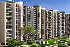 Mahira Homes