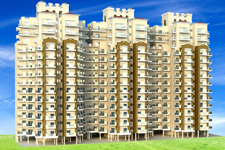 pivotal riddhisiddhi