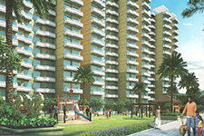 Pyramid Urban Homes 3