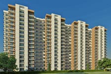 Signature Orchard Avenue