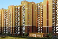 Tulsiani Easy in Homes